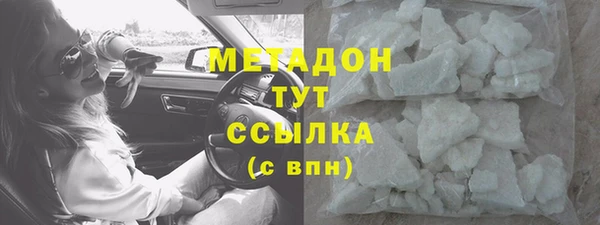 прущие грибы Аркадак
