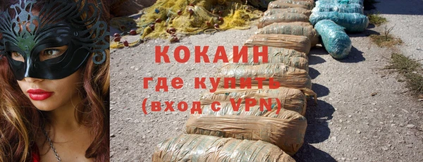 прущие грибы Аркадак