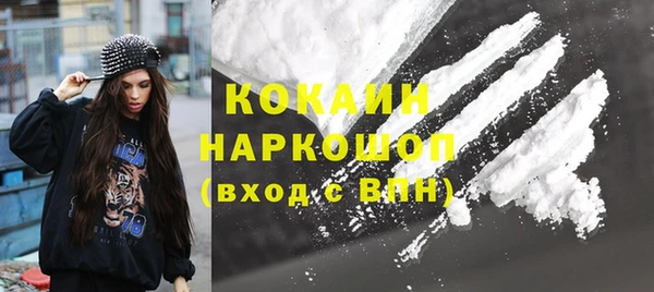 прущие грибы Аркадак