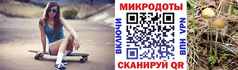 Псилоцибиновые грибы MAGIC MUSHROOMS  KRAKEN рабочий сайт  Верхняя Пышма 